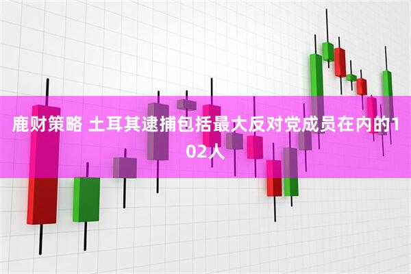 鹿财策略 土耳其逮捕包括最大反对党成员在内的102人