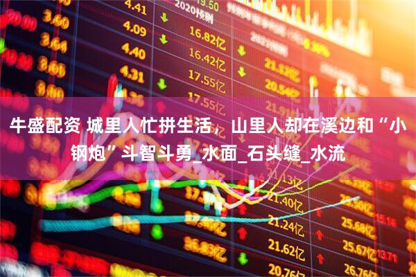 牛盛配资 城里人忙拼生活，山里人却在溪边和“小钢炮”斗智斗勇_水面_石头缝_水流