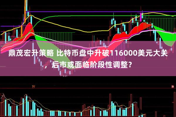 鼎茂宏升策略 比特币盘中升破116000美元大关，后市或面临阶段性调整？