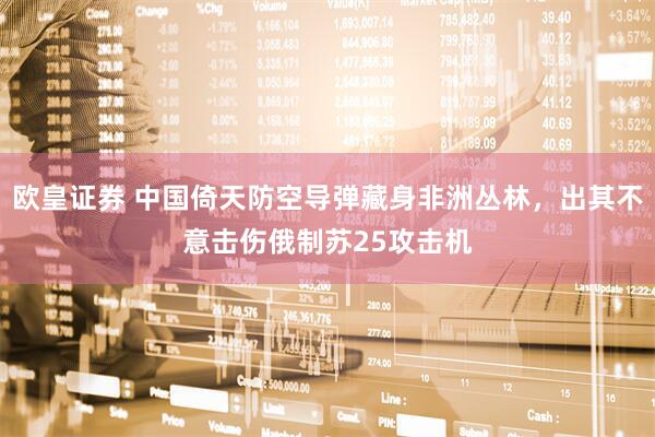 欧皇证券 中国倚天防空导弹藏身非洲丛林，出其不意击伤俄制苏25攻击机